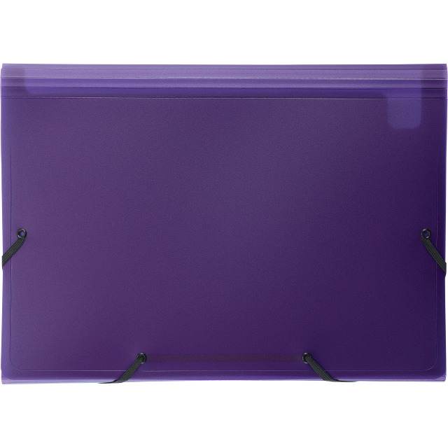Expanding file Easy A4 medium 12 Tabs purple