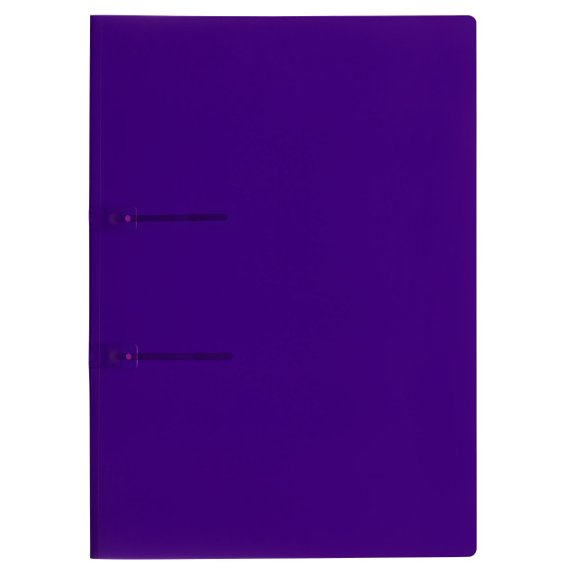 Loose-leaf binder Easy A4 2 fasteners purple