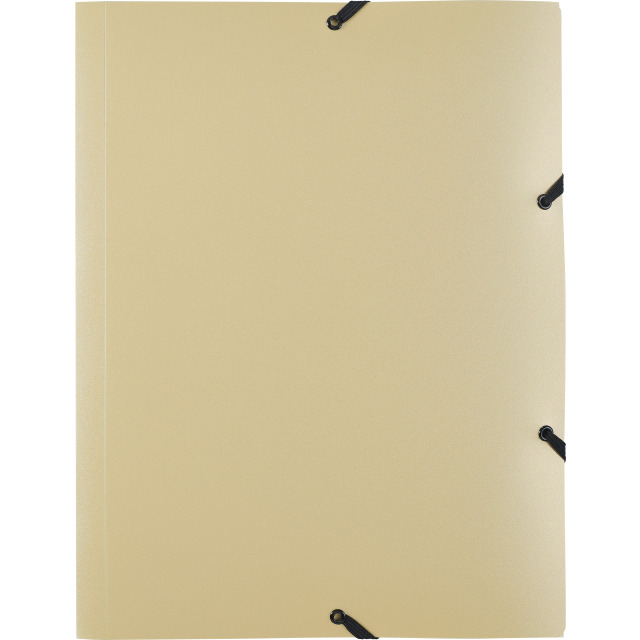 Action case Bliss A4 opaque gold
