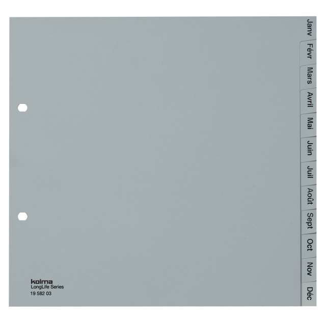 Index A4 partly covered superstrong Jan-Déc (fr) 12 parts grey