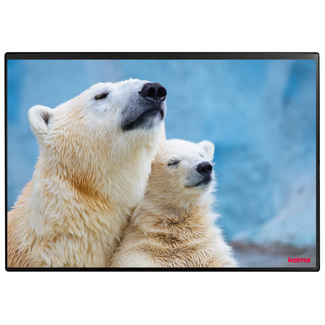 Desk pad Poster (Polar bear) 50 x 34