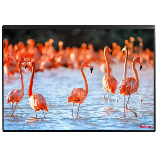 Desk pad Poster (Colourful wildlife) 50 x 34
