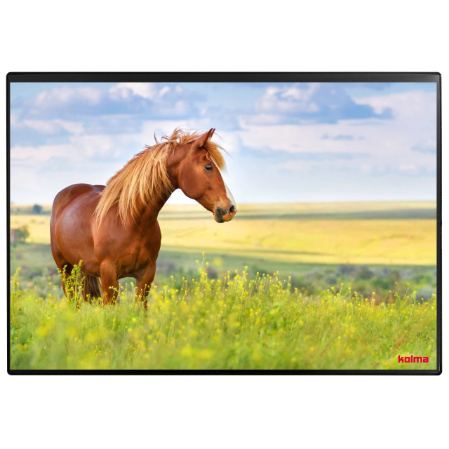 Schreibunterlage Poster (Pferd) 50 x 34