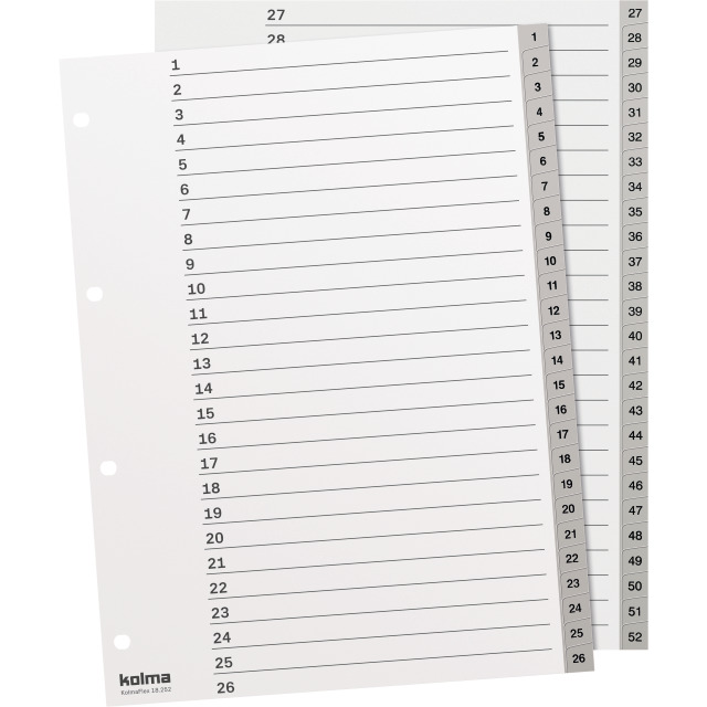 Index A4 strong 1-52 grey