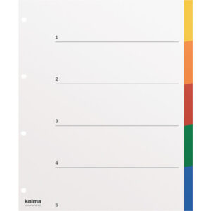 Register A4 XL strong blanko 5-teilig farbig