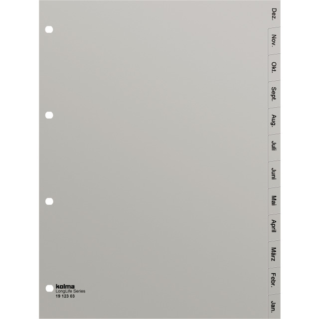 Index A4 superstrong Dez-Jan (de) grey