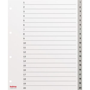 Register A4 XL superstrong 1-20 grau
