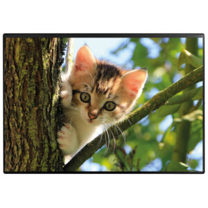 Schreibunterlage Poster (Katze) 50 x 34 cm