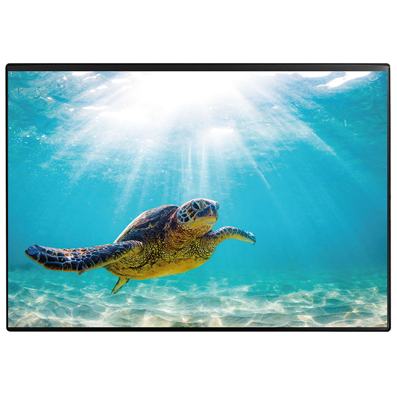 Schreibunterlage Poster (Schildkröte) 50 x 34 cm