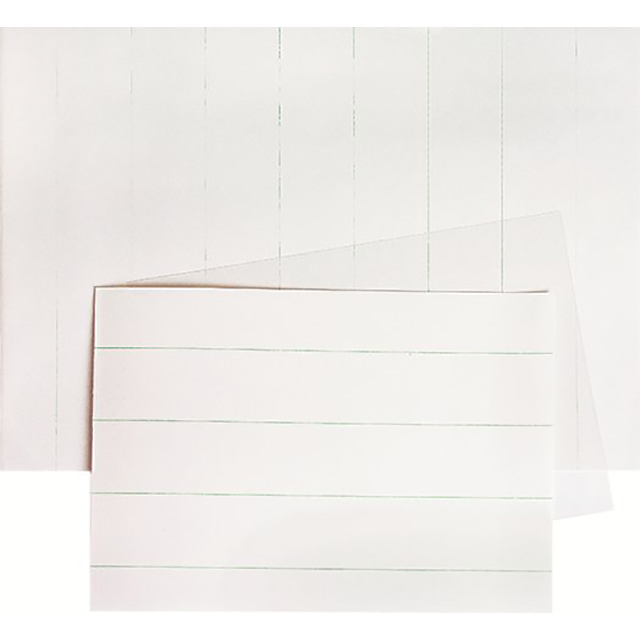 Carrier Pochette de protection en carton A3