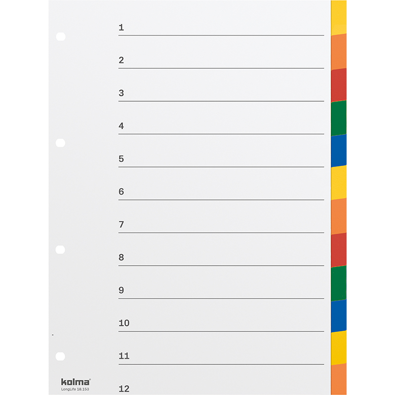 Index A4 strong blank 12 parts multicoloured